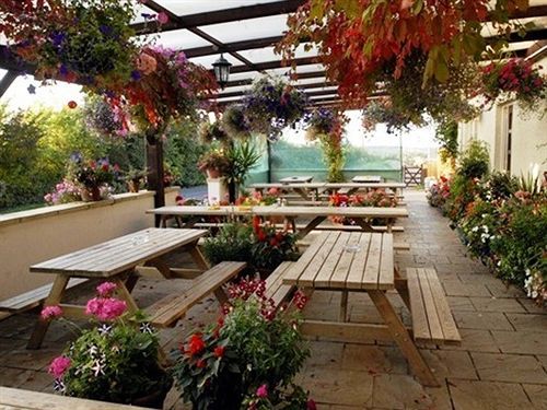 The Flying Fish Stables Hotel Ilminster Bagian luar foto