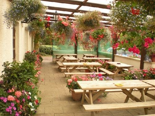 The Flying Fish Stables Hotel Ilminster Bagian luar foto